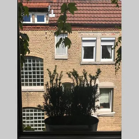 Sonnige 2-zimmerwohnung Mit Veranda